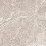 24''x24'' - 24''x48'' Marmostone Mink Matte Rectified Marble Look Porcelain Floor and Wall Tile