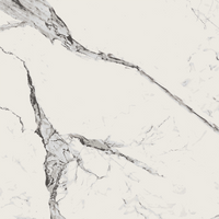 24''x24'' - 24''x48'' - 40''x40''Newport Polished Rectified Marble Look Porcelain Floor and Wall Tile