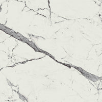 24''x24'' - 24''x48'' - 40''x40''Newport Polished Rectified Marble Look Porcelain Floor and Wall Tile