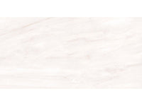 24-inch x 48-inch Pearl Polished Rectified Porcelain Floor and Wall Tile