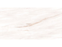 24-inch x 48-inch Pearl Polished Rectified Porcelain Floor and Wall Tile