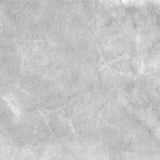 24-inch x 48-inch Pulpis Grey Polished Rectified Porcelain Floor and Wall Tile